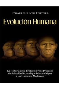 Evolución Humana