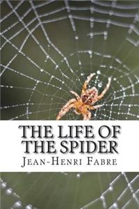 The Life of the Spider