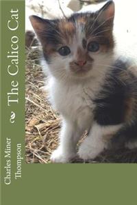 The Calico Cat