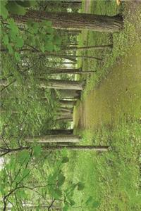 Nature Path Through a Latvia Park with Lovely Trees Journal