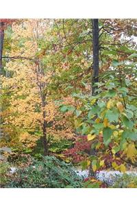 School Composition Book Autumn Colors Fall Foliage 130 Pages