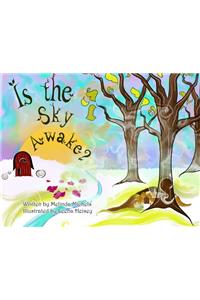 Is the Sky Awake?
