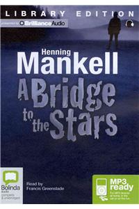 A Bridge to the Stars