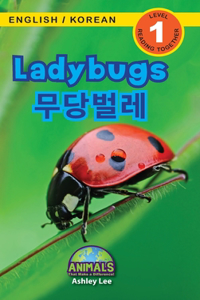Ladybugs / 무당벌레