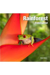 Rainforest Endangered
