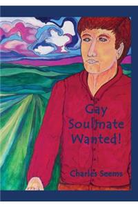 Gay Soulmate Wanted!