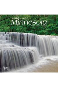 Minnesota Wild & Scenic 2020 Mini 7x7