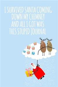 I Survived Santa Coming Down My Chimney And All I Got Was This Stupid Journal