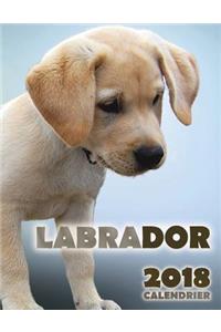 Labrador 2018 Calendrier (Edition France)