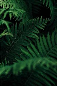 Plants Notebook