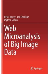 Web Microanalysis of Big Image Data