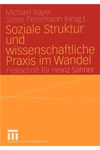 Soziale Struktur Und Wissenschaftliche PRAXIS Im Wandel