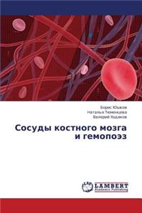 Sosudy Kostnogo Mozga I Gemopoez
