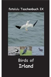 Birds of Irland