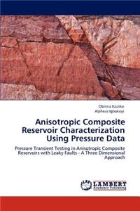 Anisotropic Composite Reservoir Characterization Using Pressure Data