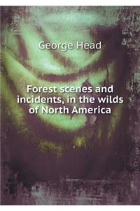 Forest Scenes and Incidents, in the Wilds of North America