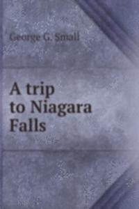 trip to Niagara Falls