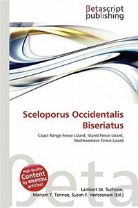 Sceloporus Occidentalis Biseriatus