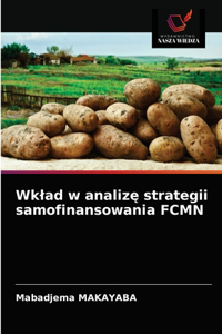 Wklad w analize strategii samofinansowania FCMN