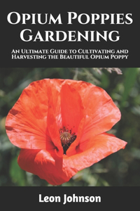 Opium Poppies Gardening