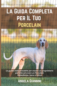 La Guida Completa per Il Tuo Porcelain