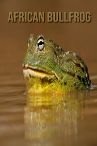 African Bullfrog