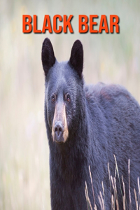 Black Bear