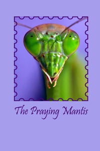 Praying Mantis