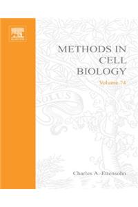 Development of Sea Urchins, Ascidians, and Other Invertebrate Deuterostomes