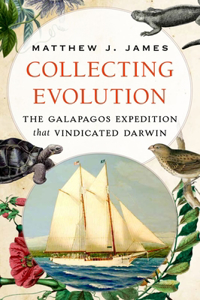 Collecting Evolution