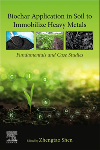 Biochar Application in Soil to Immobilize Heavy Metals