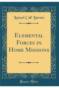 Elemental Forces in Home Missions (Classic Reprint)