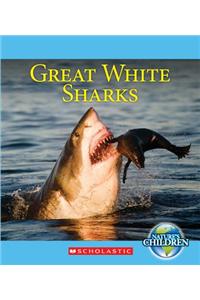 Great White Sharks