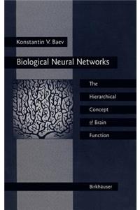 Biological Neural Networks: Hierarchical Concept of Brain Function