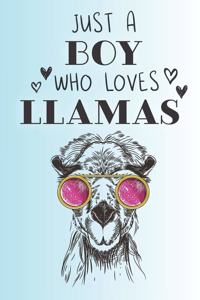 Just A Boy Who Loves Llamas