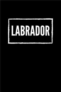 Labrador
