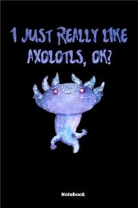 I Just Really Like Axolotls, Ok Notebook