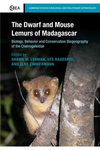 Dwarf and Mouse Lemurs of Madagascar