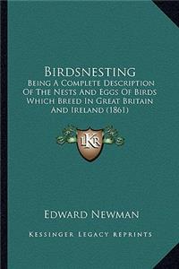 Birdsnesting