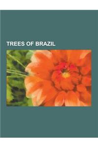 Trees of Brazil: Cashew, Guarana, Theobroma Cacao, Ceiba Pentandra, Acai Palm, Mimosa Pigra, Mimosa Tenuiflora, Brazil Nut, Anadenanthe