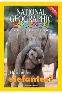 ¿Hablan los elefantes? / Secret language of elephants