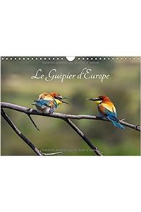 Le Guepier D'europe - Merops Apiaster 2018