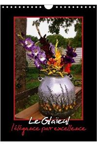 Le Glaïeul l'élégance par excellence 2018