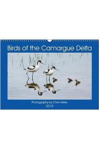 Birds of the Camargue Delta 2018