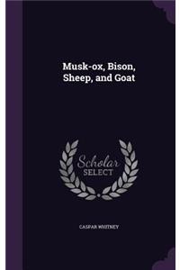 Musk-ox, Bison, Sheep, and Goat