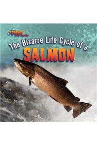 The Bizarre Life Cycle of a Salmon