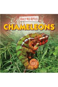 Chameleons