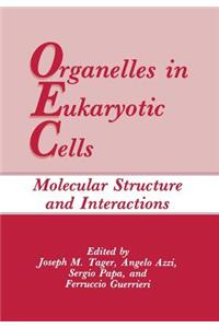 Organelles in Eukaryotic Cells