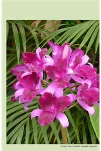 Orchid and palms 2014 weekly calendar