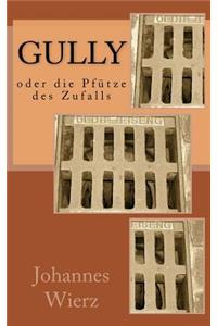 Gully Oder Die Pfuetze Des Zufalls